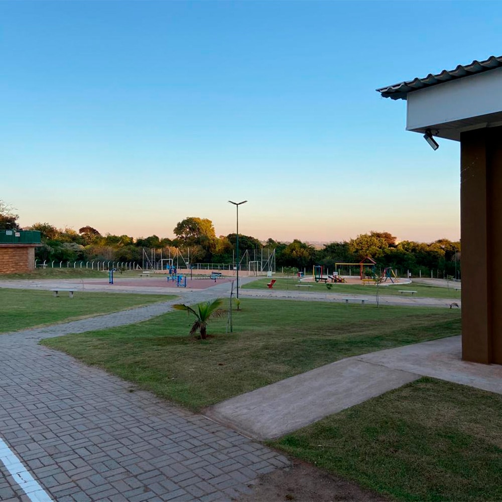 samambaia-30